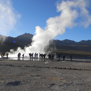 salar andino-travel agency-san pedro de atacama-salar de uyuni-tours-expediciones-agencia de viajes-geyser del tatio-02