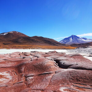 salar andino-travel agency-san pedro de atacama-salar de uyuni-tours-expediciones-agencia de viajes- piedras rojas-01