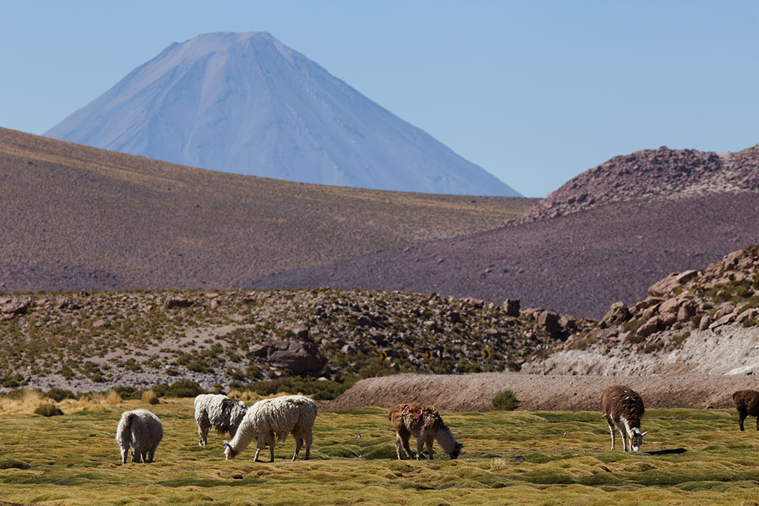 salar andino-travel agency-san pedro de atacama-salar de uyuni-tours-expediciones-agencia de viajes-paquete-atacama 4 dias-geyser del tatio