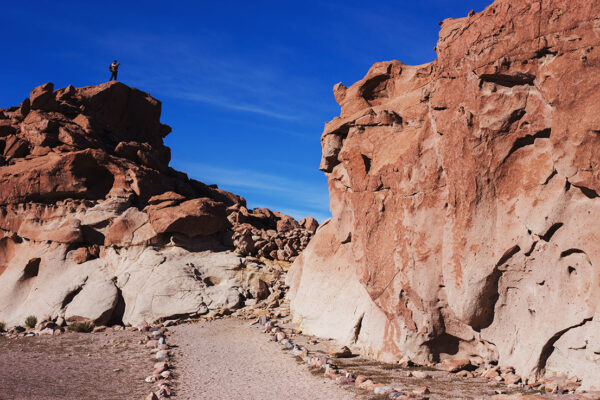 salar andino-travel agency-san pedro de atacama-salar de uyuni-tours-expediciones-agencia de viajes-paquete-atacama 6 dias-valle del arcoiris