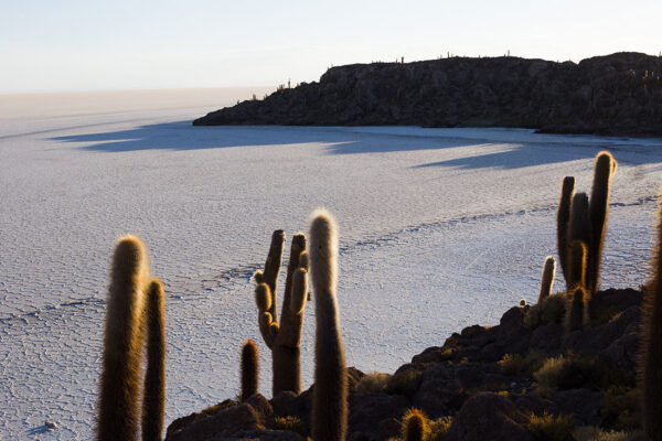 salar andino-travel agency-san pedro de atacama-salar de uyuni-tours-expediciones-agencia de viajes-salar de uyuni-full day-04