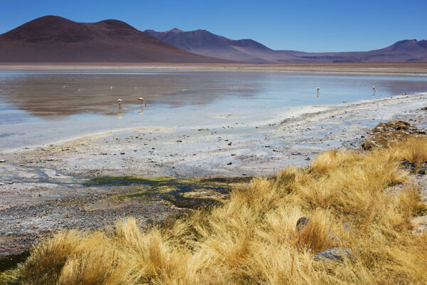 salar andino-travel agency-san pedro de atacama-salar de uyuni-tours-expediciones-agencia de viajes-salar de uyuni-ruta de villa mar-desde san pedro-01