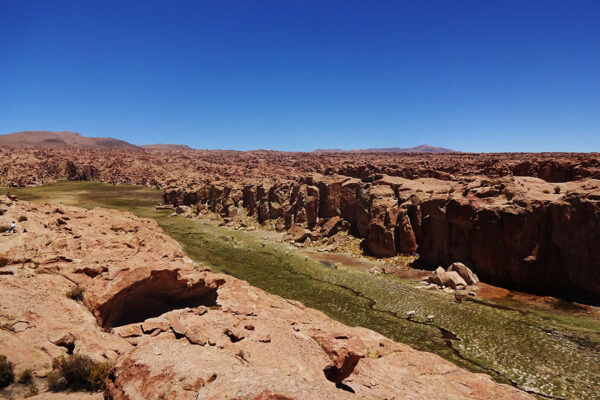 salar andino-travel agency-san pedro de atacama-salar de uyuni-tours-expediciones-agencia de viajes-salar de uyuni-ruta de villa mar-desde san pedro-05