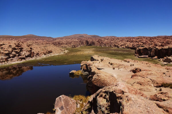 salar andino-travel agency-san pedro de atacama-salar de uyuni-tours-expediciones-agencia de viajes-salar de uyuni-ruta de villa mar-desde san pedro-06