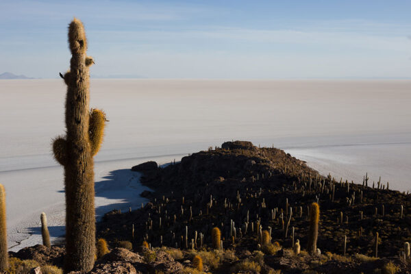 salar andino-travel agency-san pedro de atacama-salar de uyuni-tours-expediciones-agencia de viajes-salar de uyuni-ruta de villa mar-desde san pedro-07